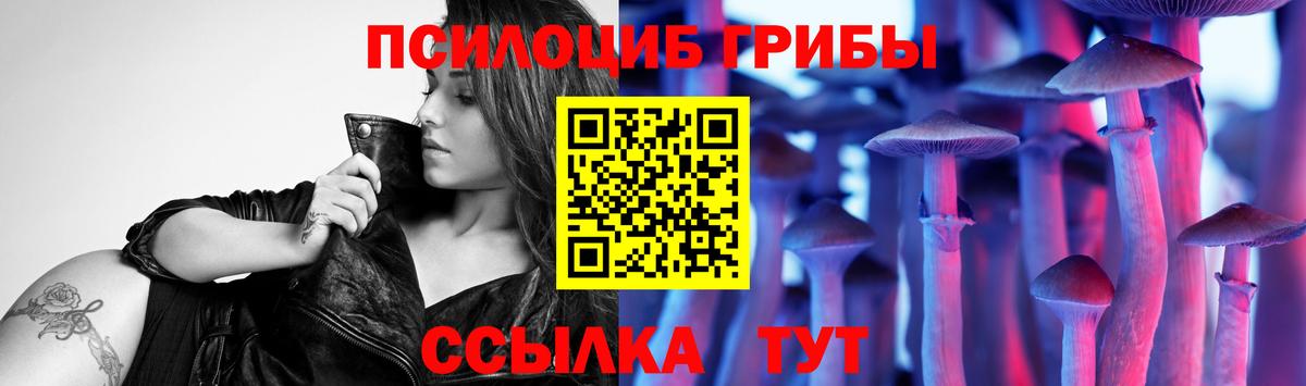 Губкинский  Галлюциногенные грибы Psilocybine cubensis  как найти наркотики  Вход с VPN 