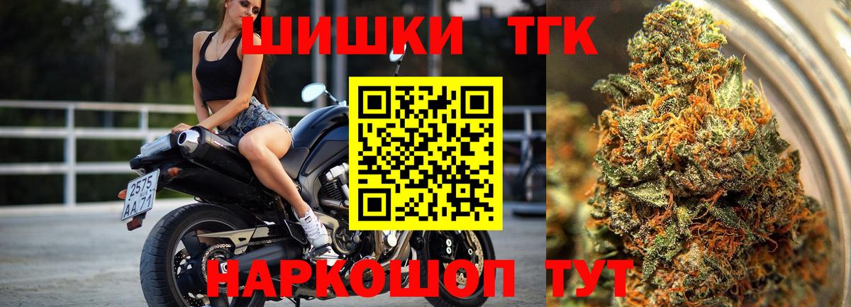 Канабис OG Kush Губкинский